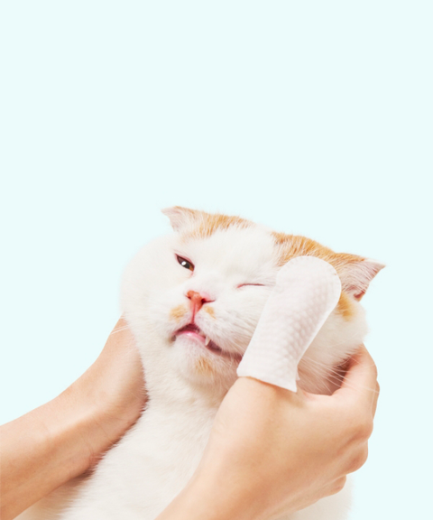 Henlopaw - Khăn lau mắt cho thú cưng (40 miếng)