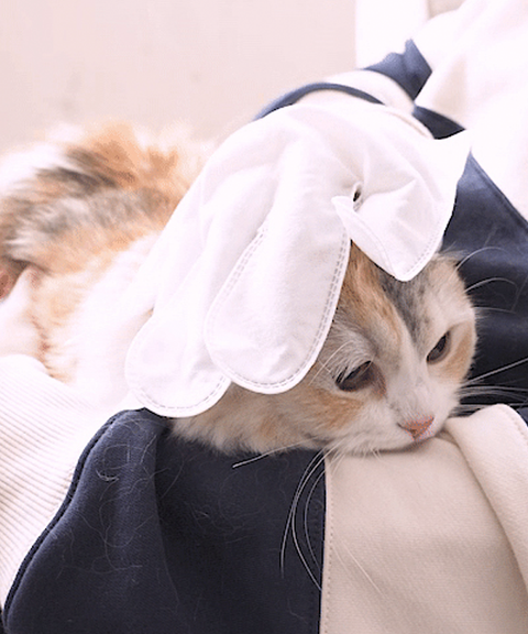 Henlopaw - Găng tay tắm cho mèo