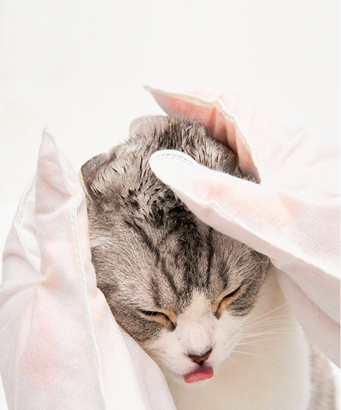 Henlopaw - Găng tay tắm cho mèo