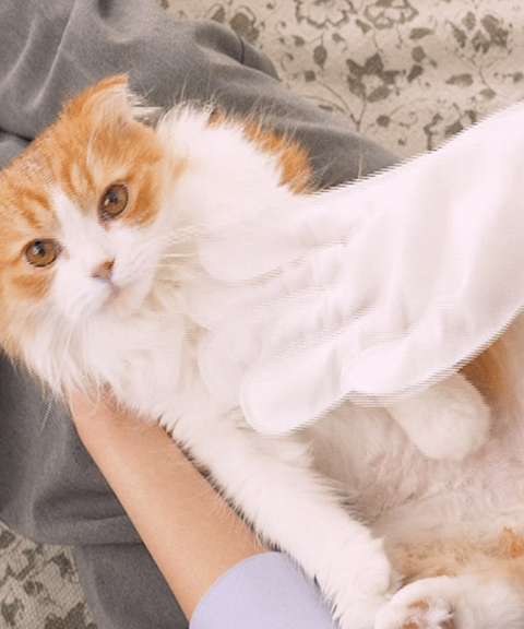 Henlopaw - Găng tay tắm cho mèo