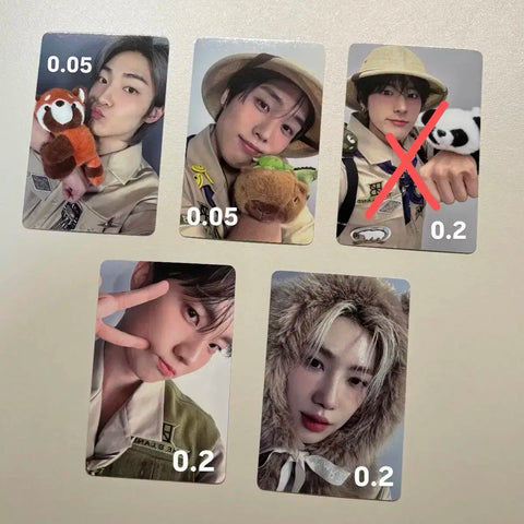 THE BOYZ Deobi Land First Concert Entrance Photocard