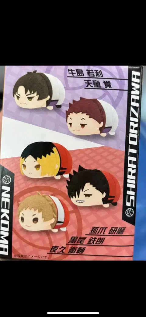 Haikyuu Mochi Mas Yuukata Ushijima