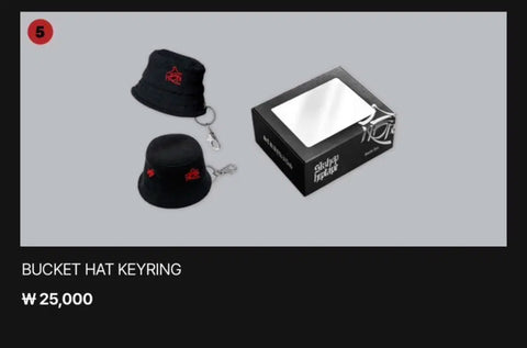 Stray Kids Hop Pop-up MD Transfer Puffim Rabbit Sticker Bucket Hat Keyring StrayKids