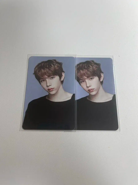 Rise 2025 Season's Greetings Trading Card Shotaro Photocard Transfer