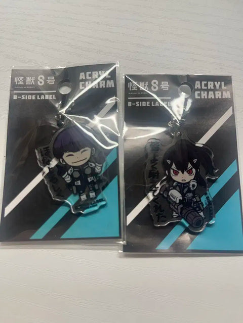 Hoshina Ashiromina Keyring for Sale
