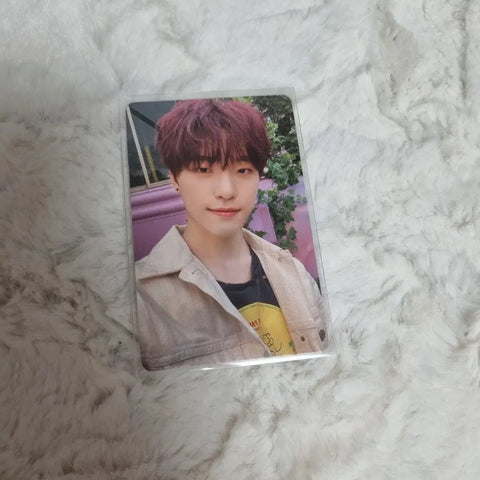 Seventeen Dino Your Choice Is We photocard