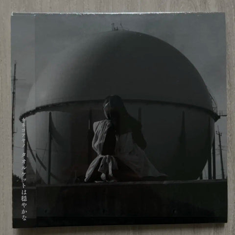 Kaneko Ayano CD album towelket is gentle.