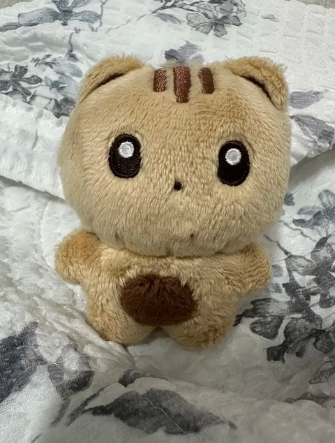 THE BOYZ Q doll, Q-Kkomi, transfer