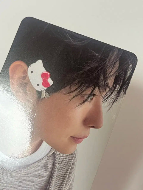 Steady Hello Kitty Uushi Photocard