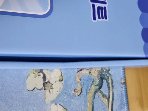Bộ Acrylic Debut or Die Idiya