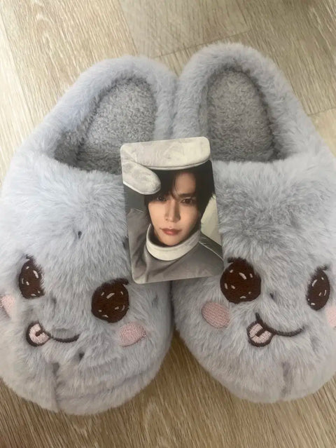 Song Yongdol Rise Eunseok Indoor Shoes Room Slippers Transfer