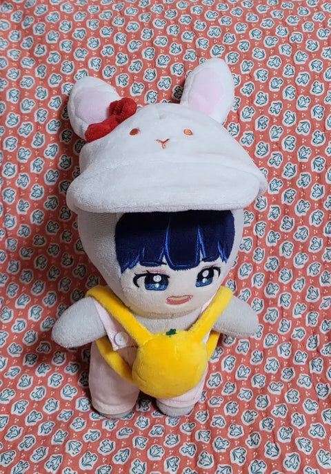 Seventeen's Seungkwan doll~!
