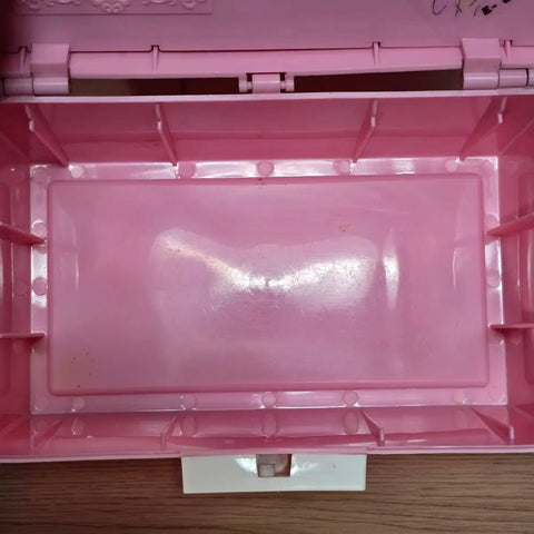 Vintage Retro Pink Lady Japanese Female Duo Plastic Storage Box 70s-80s