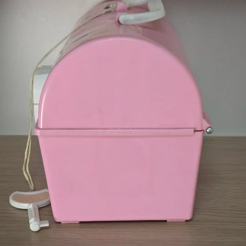 Vintage Retro Pink Lady Japanese Female Duo Plastic Storage Box 70s-80s