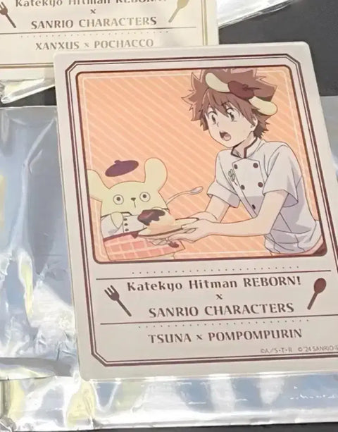 Katekyo Hitman Reborn Sanrio Collaboration Acrylic Card Tsunayoshi Xanxus Squalo
