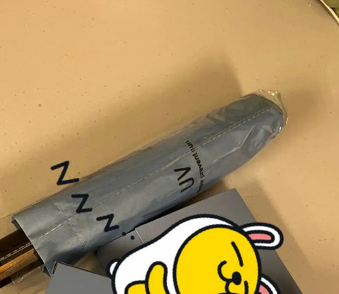 DAY6 fan meeting umbrella