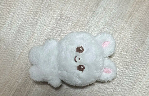 Jeonghan's doll Jjongkomi