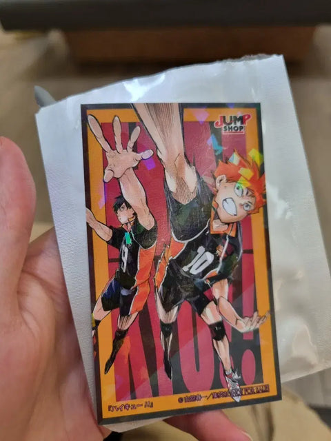 Jump Shop Exclusive Haikyu!! Centum Jump Shop Busan