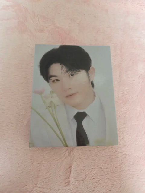 Bán gấp/gói) Bìa đựng phiên bản Carat Album Seventeen (không bao gồm thẻ ảnh)
