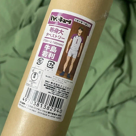 Haikyu!! Ushijima Wakatoshi Full Body Tapestry Life-Size