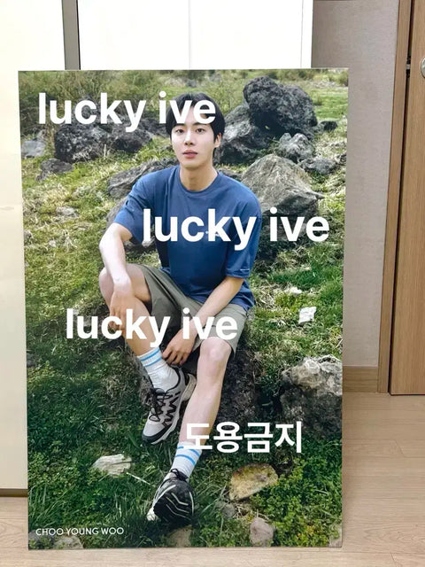 Choo Young-woo Display Board Actor Choo Young-woo Poster Photocard Goods