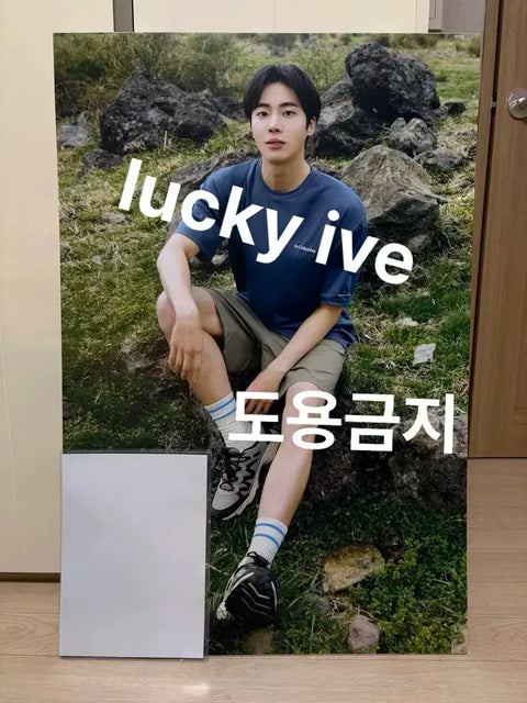 Choo Young-woo Display Board Actor Choo Young-woo Poster Photocard Goods