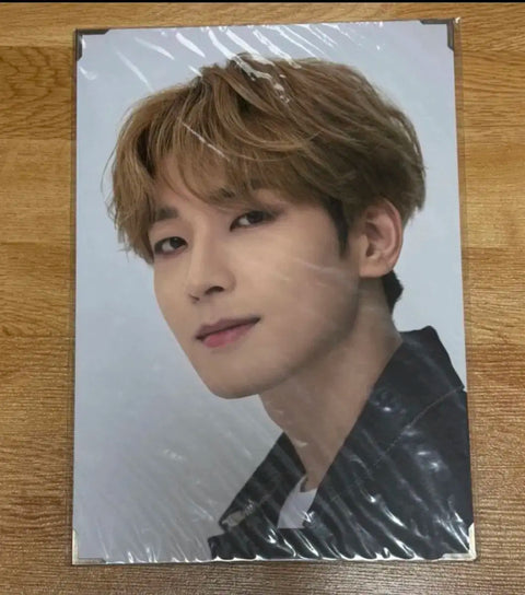 SEVENTEEN Jeon Wonwoo Carat Land Premium Photo