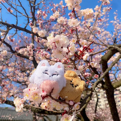 ENHYPEN Jake Sunoo Doll Enccomies Simjeti Sunpeach Bộ 2 món Mới