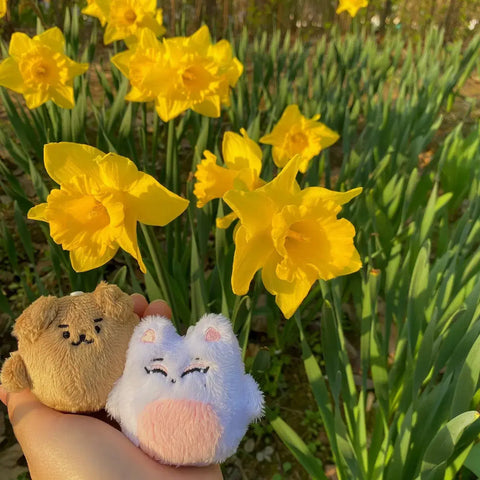 ENHYPEN Jake Sunoo Doll Enccomies Simjeti Sunpeach Bộ 2 món Mới
