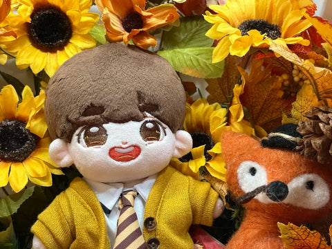 Seventeen Dokyeom doll Holli-do and doll clothes as a set, for sale.