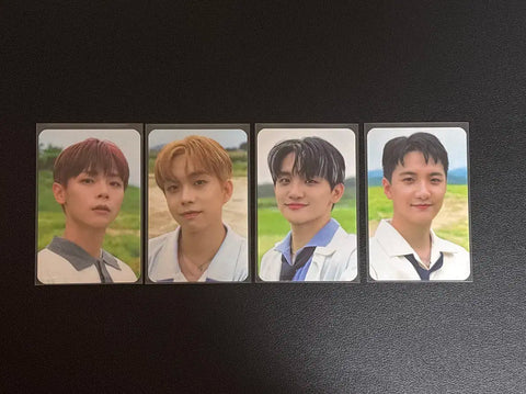 Lucy Gacha Photocards - All Together