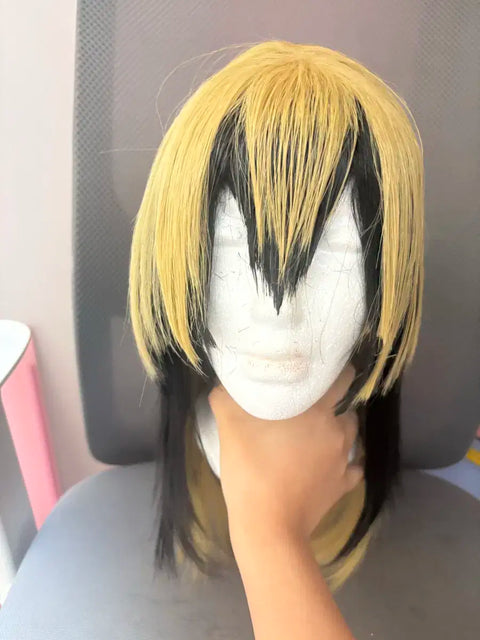 Rindo Haitani wig, half-price shipping included.