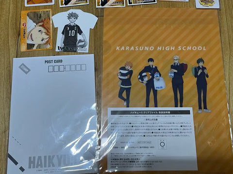 Haikyu Hinata Shoyo clear file, postcard, sticker, vintage paper goods, keyring