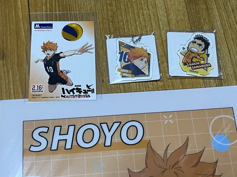 Haikyu Hinata Shoyo clear file, postcard, sticker, vintage paper goods, keyring