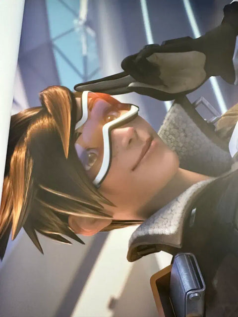 Overwatch Official Poster Book