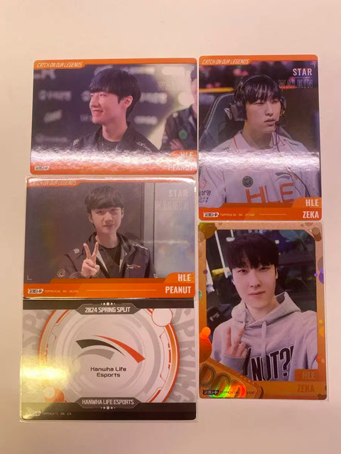 HLE photo card all together Hanwha Life Insurance