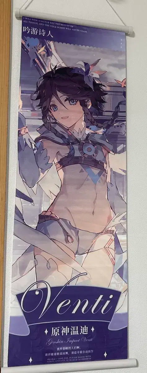 Seo-ko Venti Dakimakura