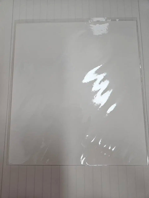 Detective Conan: The Bride of Halloween Japan Exclusive Illustration Card