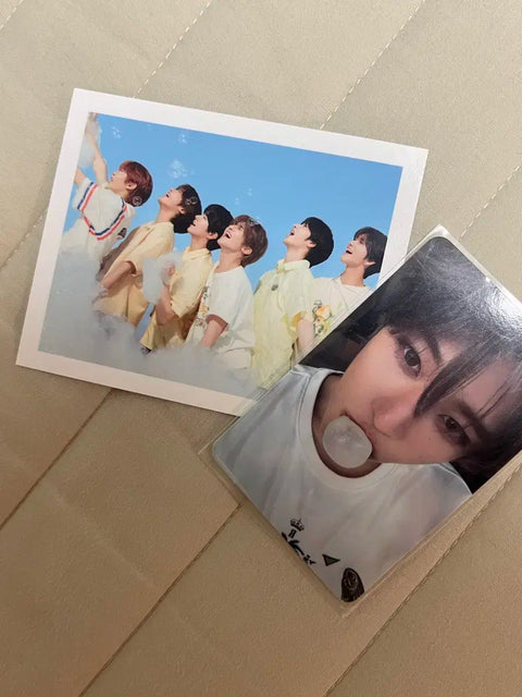 Pop-up NCT Wish Ddiboo (sticker) not included, Sion photocard.