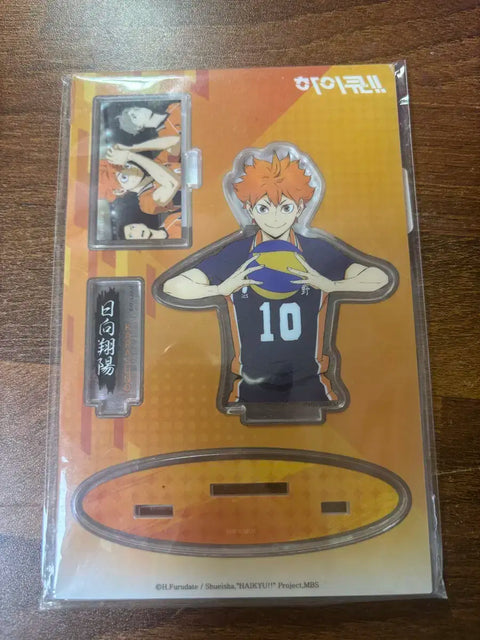 Hinata Shoyo Acrylic