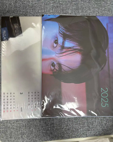 I'm selling Byeon Woo-seok D-Icon calendars (2 types).
