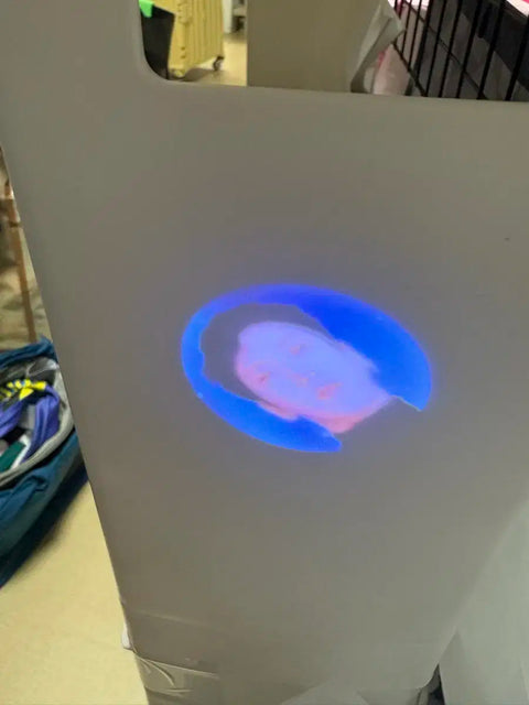 WayV TEN ten beam projector keyring take over the moon.