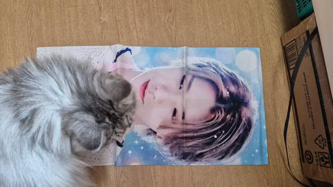 Joshua Cheon Slogan