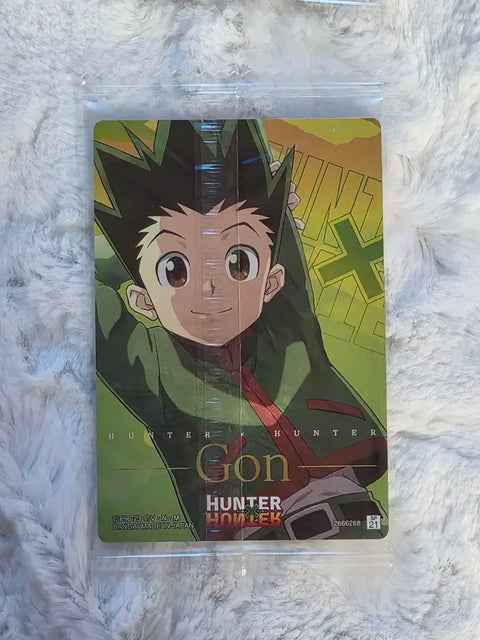 Hunter x Hunter Killua, Gon Itajaga