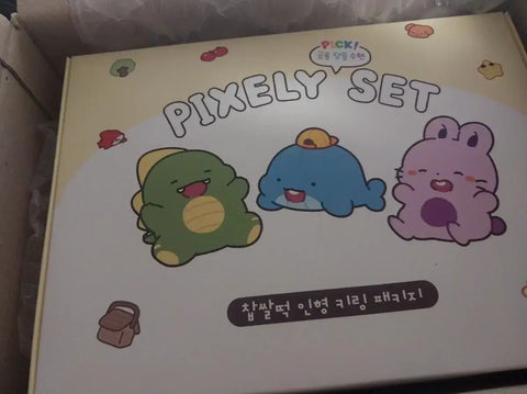 Pixelly Chapssaltteok Box