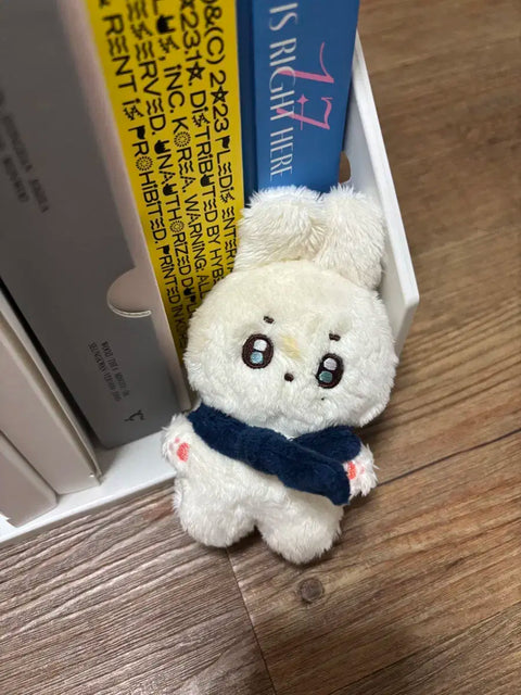 SEVENTEEN album bundle transfer + photocard binder + unofficial goods + doll