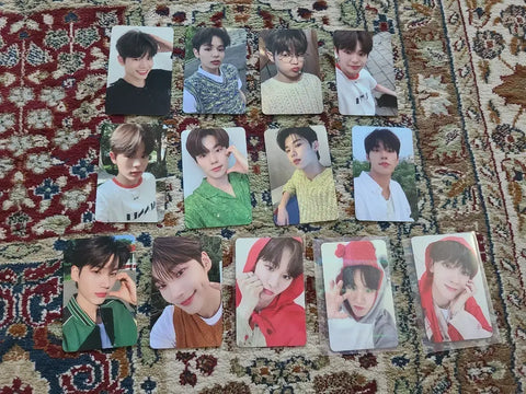 Even Poke Full Set Sale Evnne