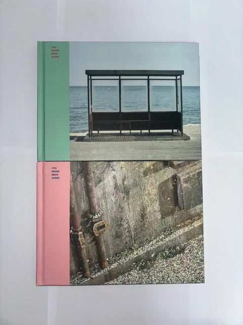 I'm selling BTS Spring Day albums as a bundle!