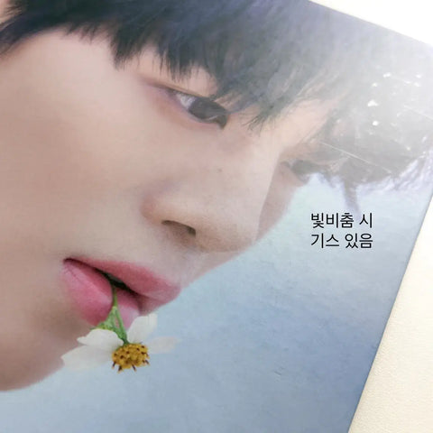 Bae Jin-young Photobook