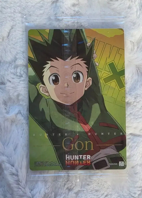 Hunter x Hunter Killua, Gon Itajaga (batch)
